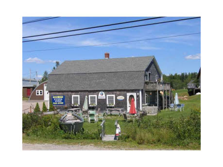 HarborGirl on the edge of Winter Harbor